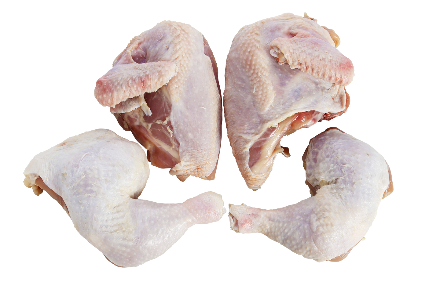 Chicken Cut in 1/4 David Elliot – Glatt Direct